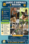 image_Homme belge 60 ans garde animaux au domicile